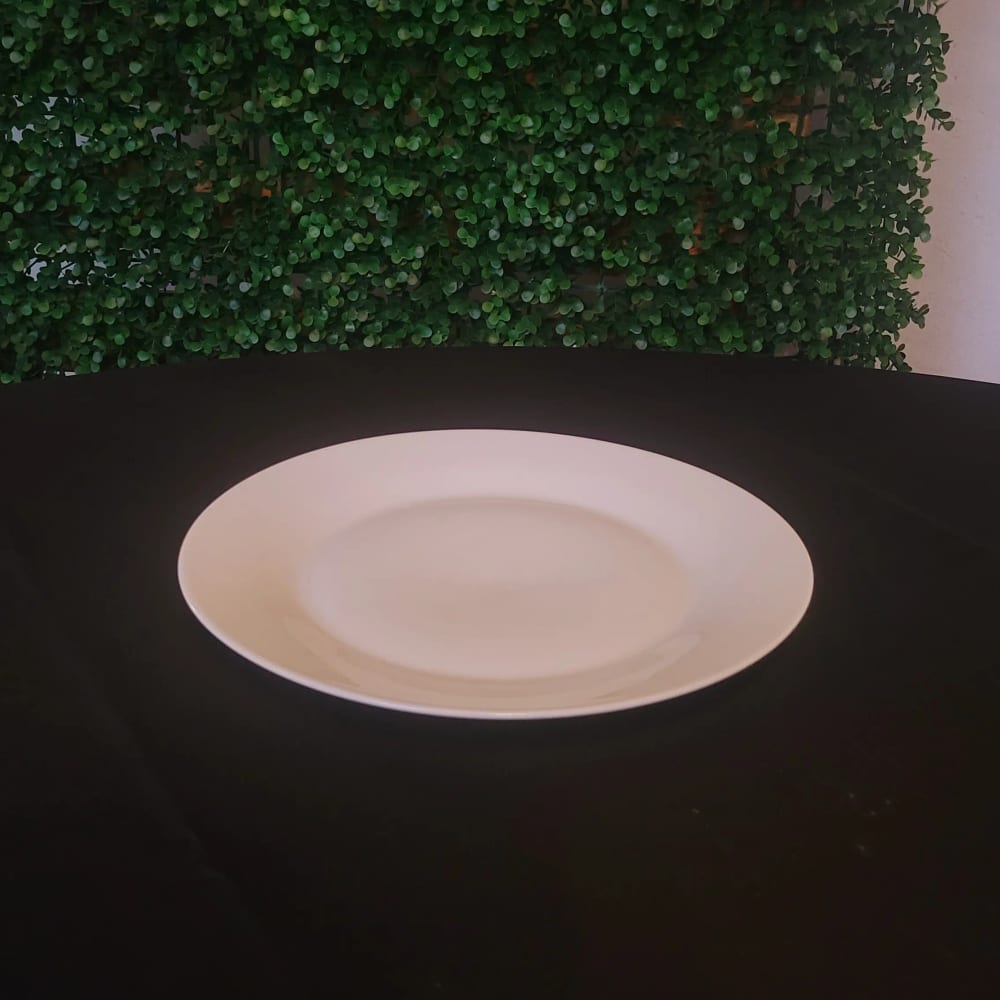 Plato para Comida — Alquifiestas y Eventos